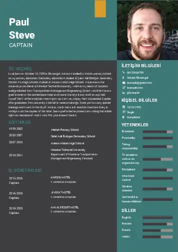 Captain resume example